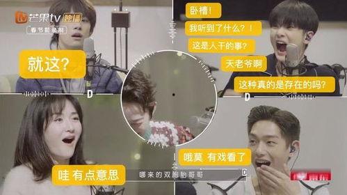 悟道吃瓜电台,揭秘娱乐圈背后的故事
