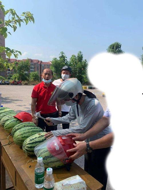 邹城田庄吃瓜事件,一场引发热议的乡村奇闻