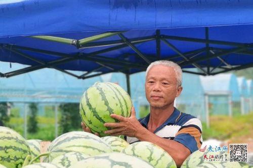 广信区吃瓜,瓜果飘香,品味生活新篇章