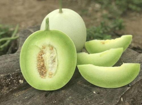 吃甜瓜还是吃蜜瓜热量大,揭秘哪一种更“甜蜜”