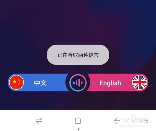 带你吃瓜ai翻译软件,带你吃瓜AI翻译软件深度解析
